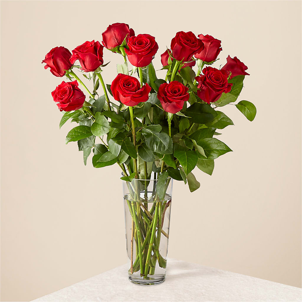 Long Stem Red Rose Bouquet – EMERY'S FLOWERS & CO, Maumee OH