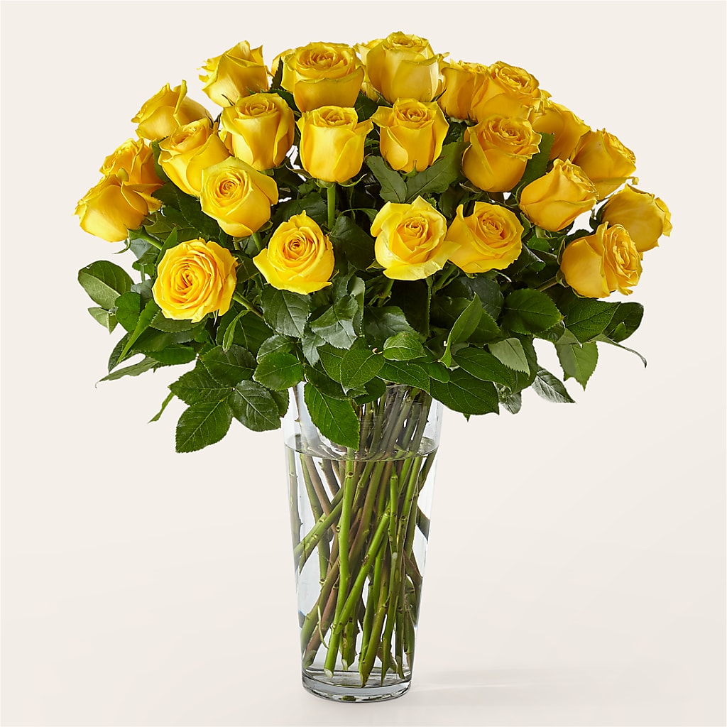 Long Stem Yellow Rose Bouquet – EMERY'S FLOWERS & CO, Maumee OH