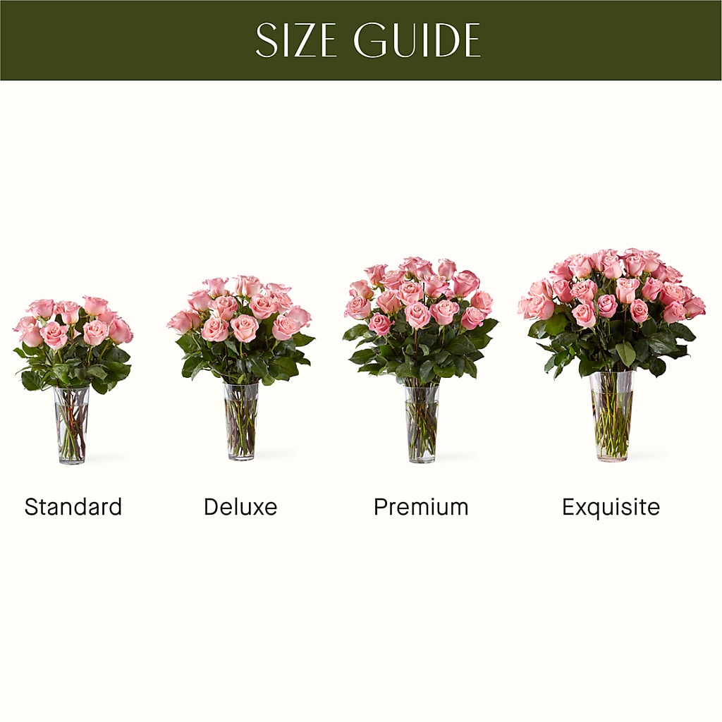 Long Stem Pink Rose Bouquet – EMERY'S FLOWERS & CO, Maumee OH