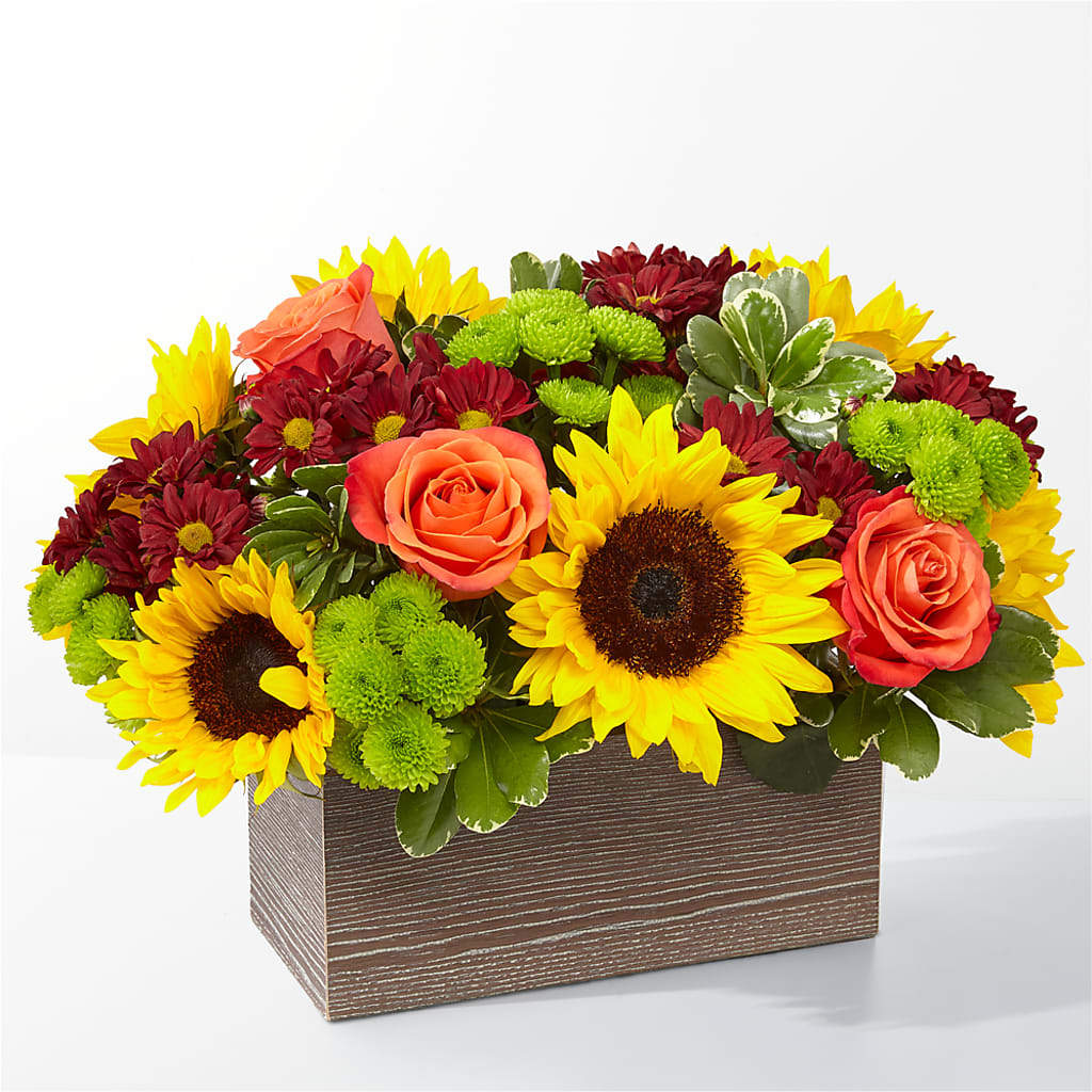 Happy Harvest Garden – EMERY'S FLOWERS & CO, Maumee OH