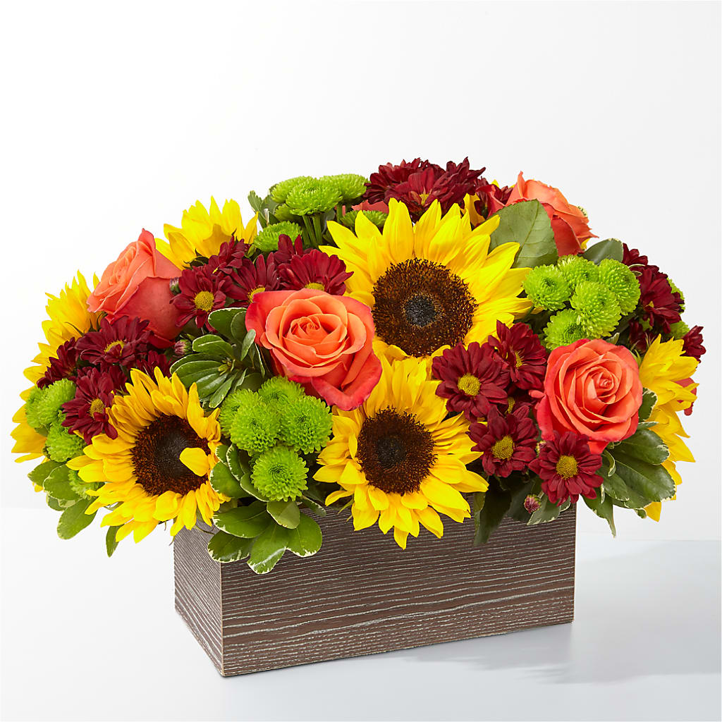 Happy Harvest Garden – EMERY'S FLOWERS & CO, Maumee OH