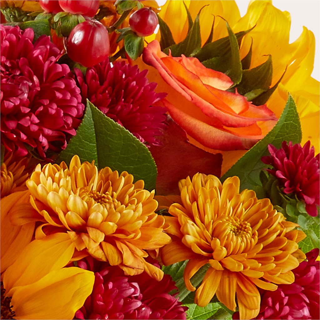 Sweater Season - A Florist Original – EMERY'S FLOWERS & CO, Maumee OH