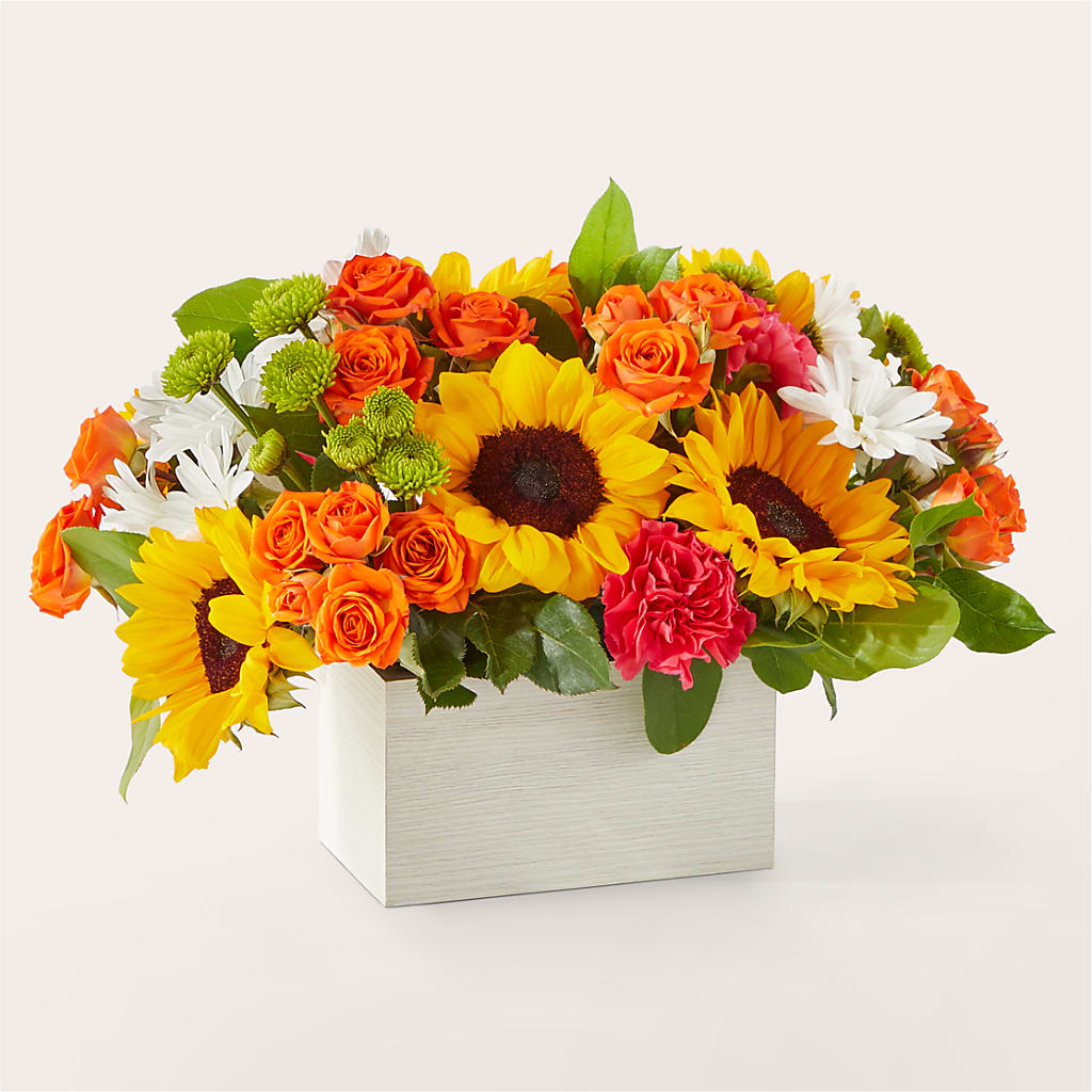 Sun-drenched Blooms Box Bouquet – EMERY'S FLOWERS & CO, Maumee OH