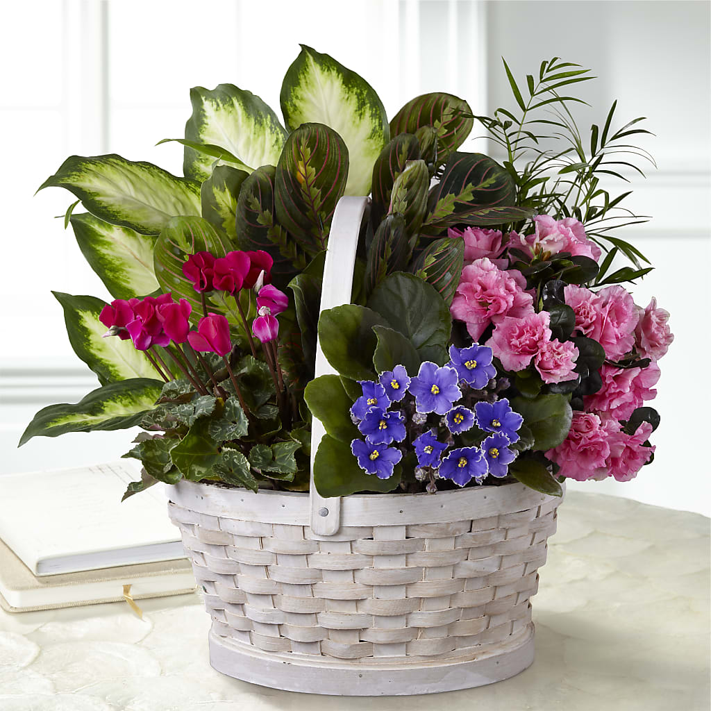 Peaceful Garden Planter – EMERY'S FLOWERS & CO, Maumee OH