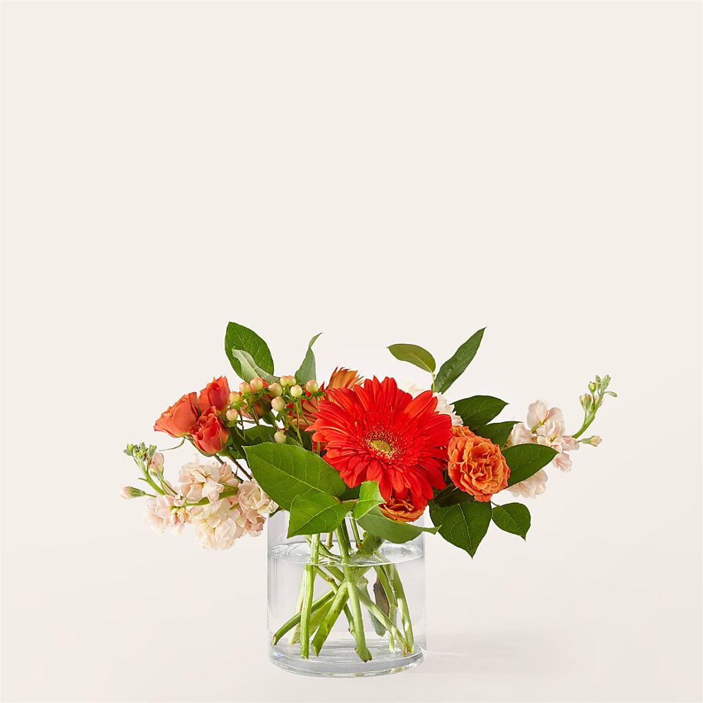 Paloma Please Bouquet – EMERY'S FLOWERS & CO, Maumee OH