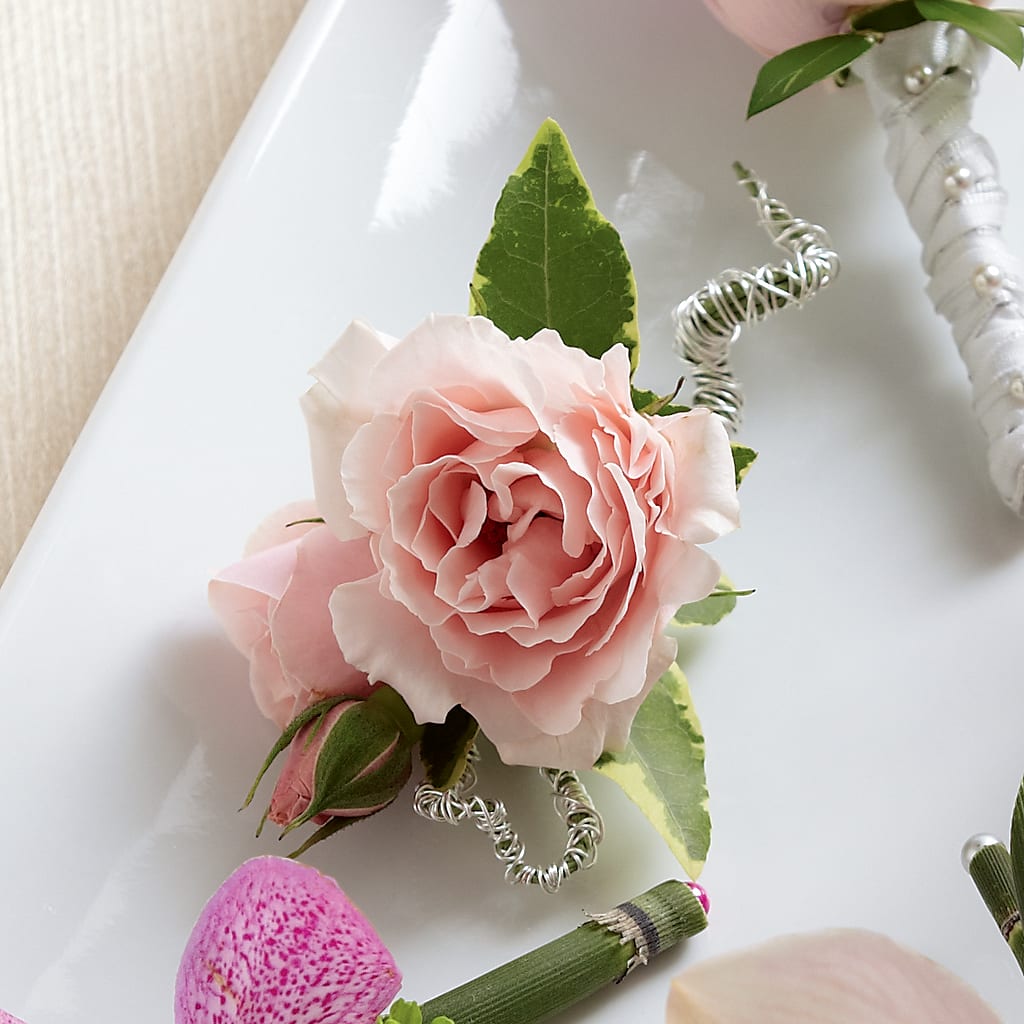 Pink Spray Rose Boutonniere – EMERY'S FLOWERS & CO, Maumee OH