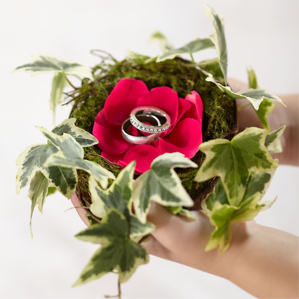 Lila Rose Ring Nest – EMERY'S FLOWERS & CO, Maumee OH