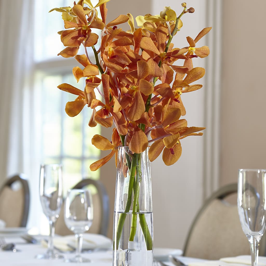 Orange Mokara Bud Vase – EMERY'S FLOWERS & CO, Maumee OH