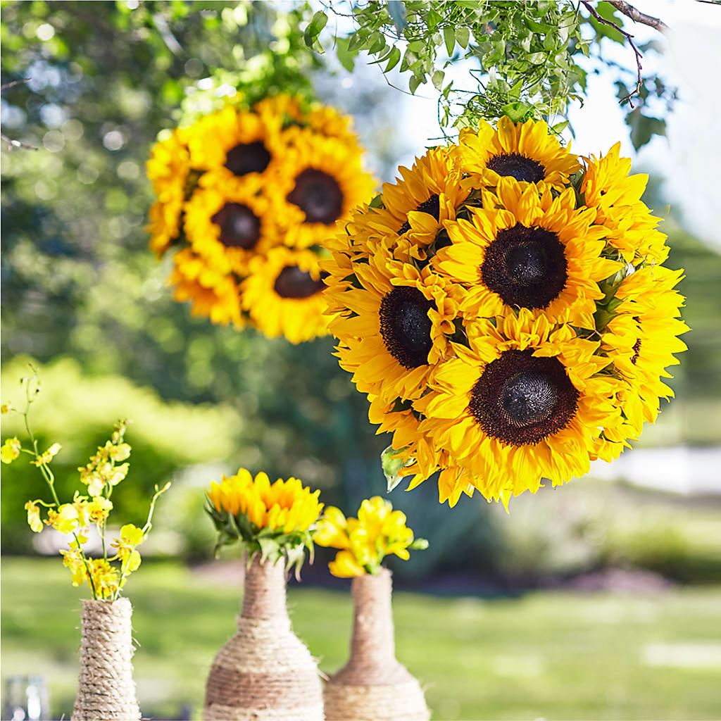 Sublime Garden Hanging Arrangement – EMERY'S FLOWERS & CO, Maumee OH