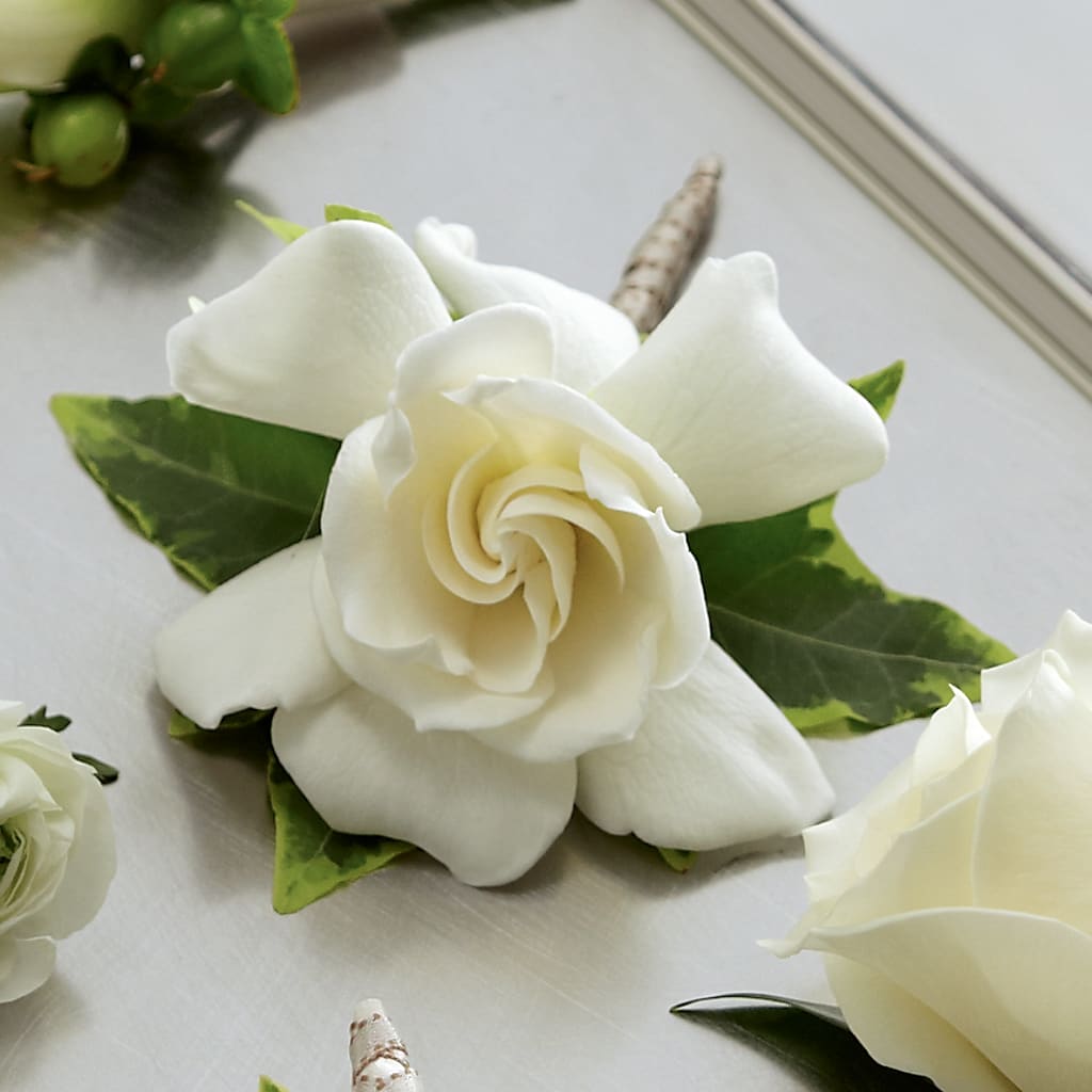 Gardenia Boutonniere – EMERY'S FLOWERS & CO, Maumee OH