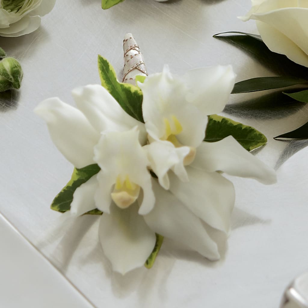 White Mini Cymbidium Boutonniere – EMERY'S FLOWERS & CO, Maumee OH