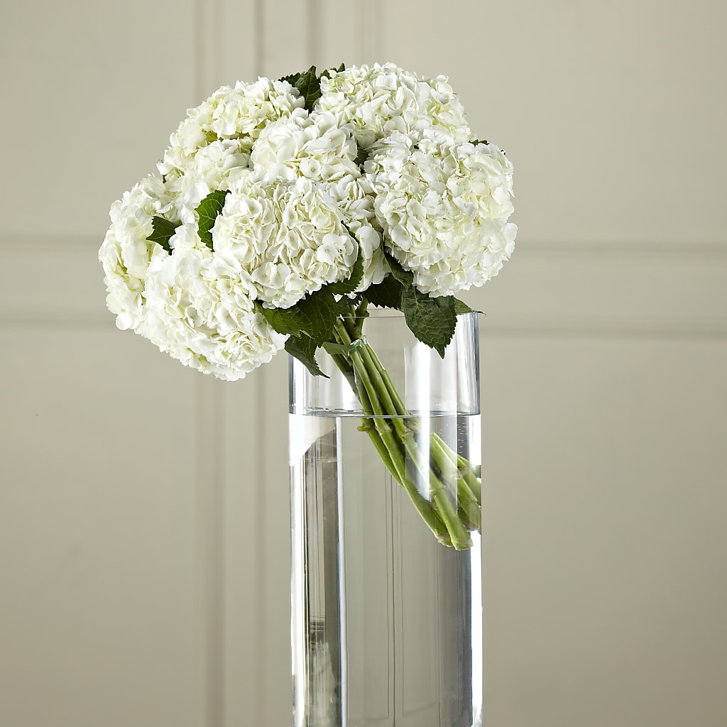 White Hydrangea Hand-Tied Bouquet – EMERY'S FLOWERS & CO, Maumee OH