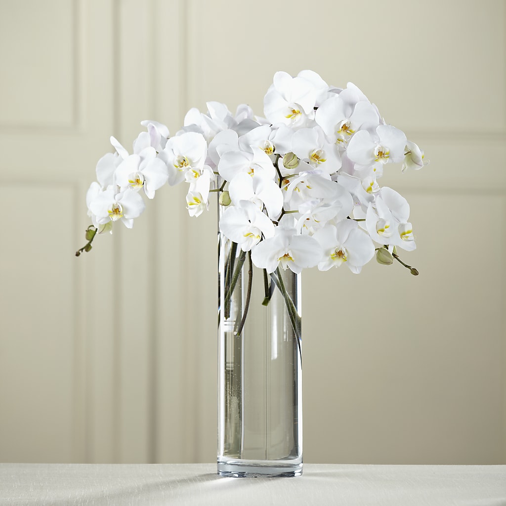 White Phalaenopsis Bouquet – EMERY'S FLOWERS & CO, Maumee OH