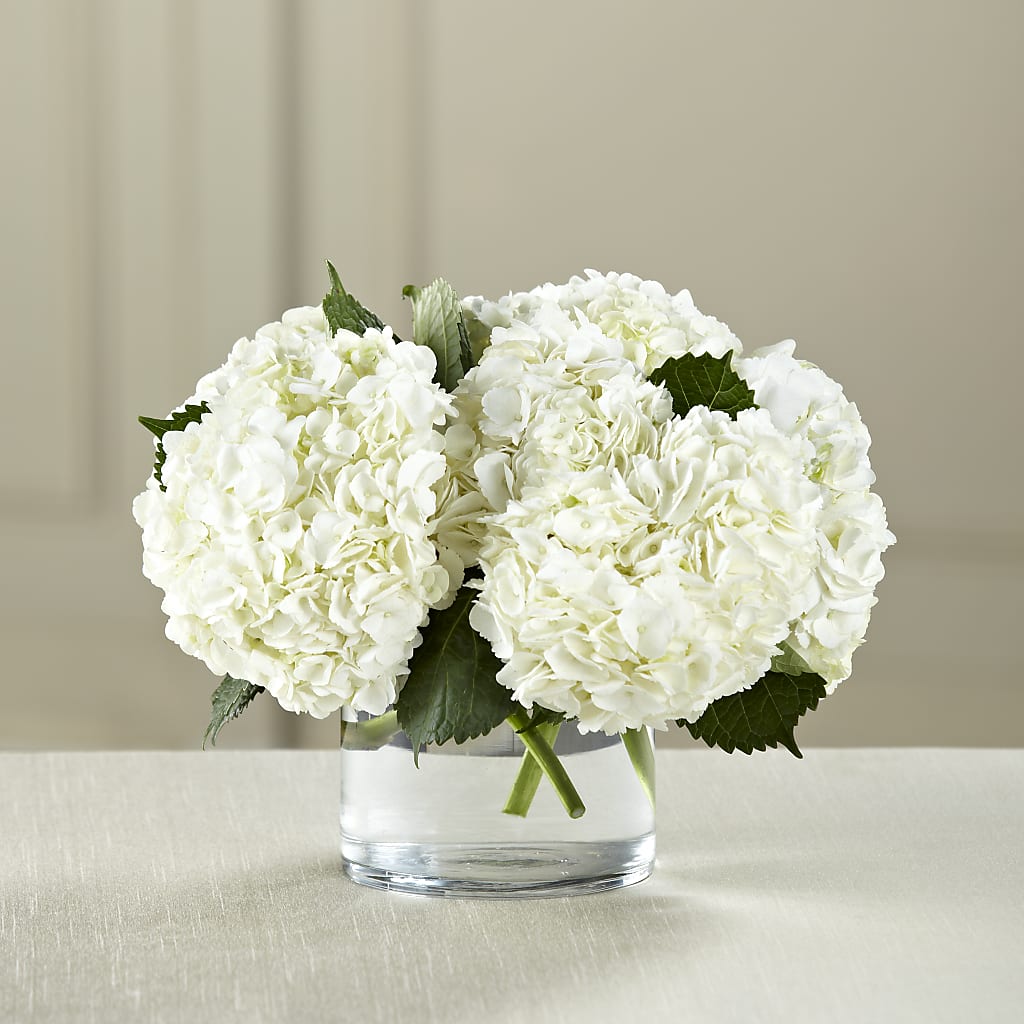 White Hydrangea Bouquet – EMERY'S FLOWERS & CO, Maumee OH