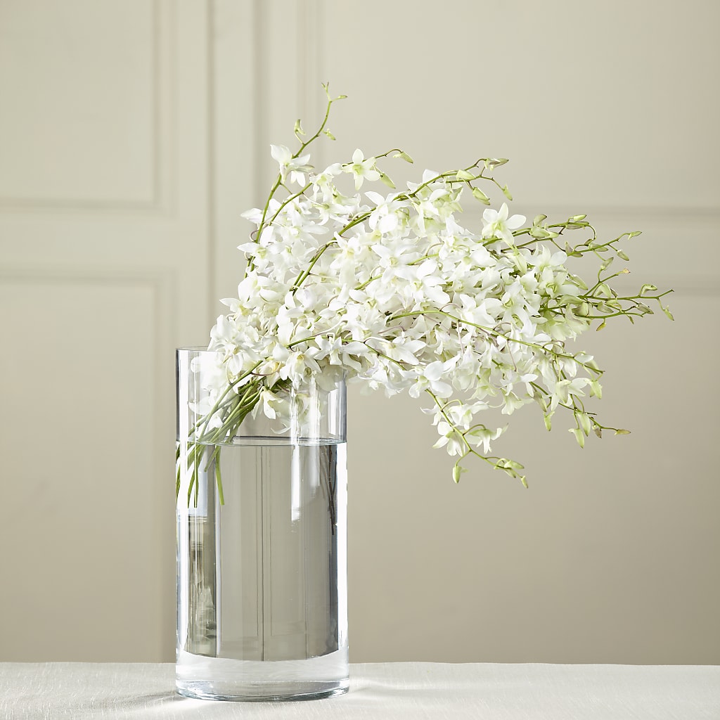 White Dendrobium Bouquet – EMERY'S FLOWERS & CO, Maumee OH