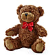 Adorable Plush Bear – EMERY'S FLOWERS & CO, Maumee OH