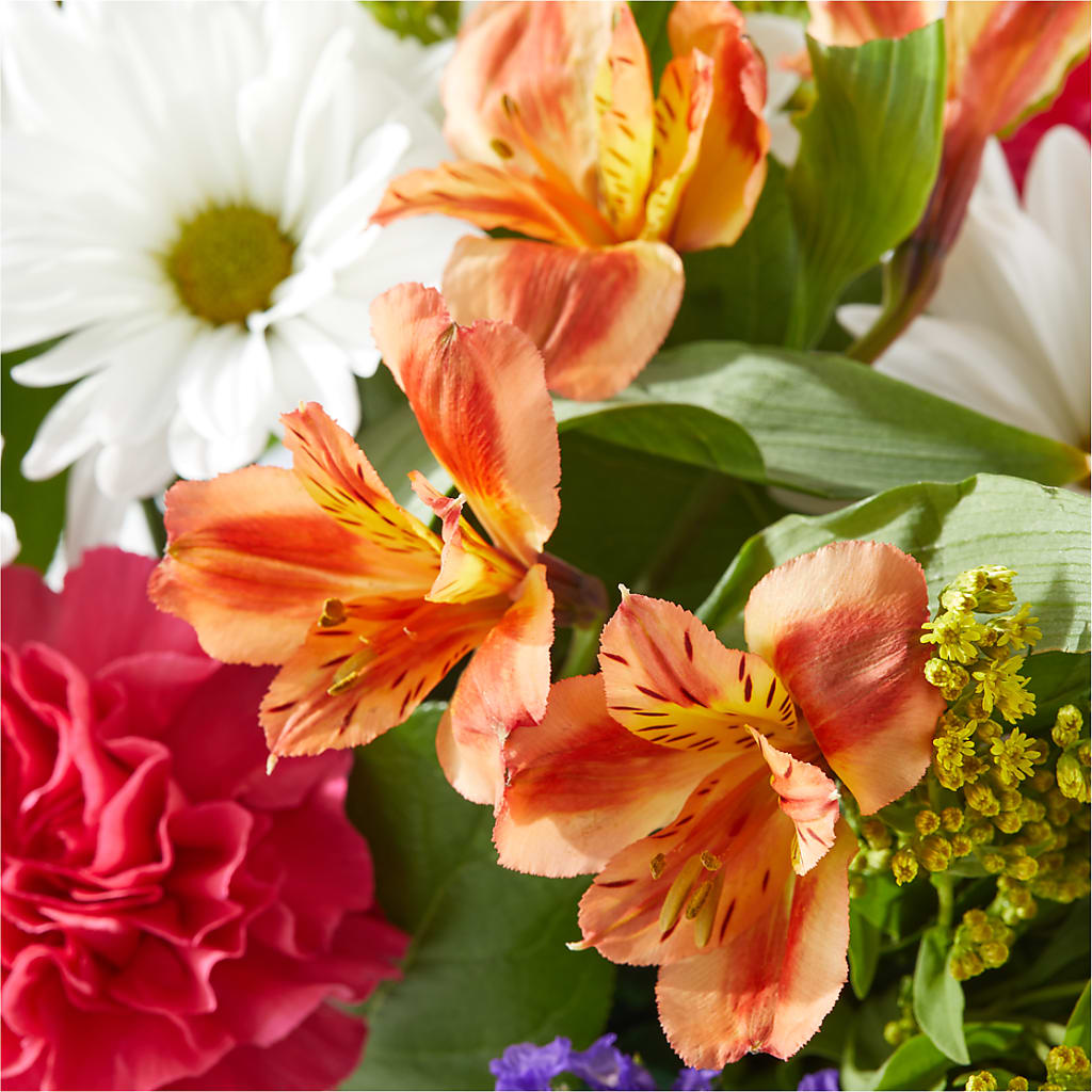 Oopsie Daisy Box Bouquet – EMERY'S FLOWERS & CO, Maumee OH