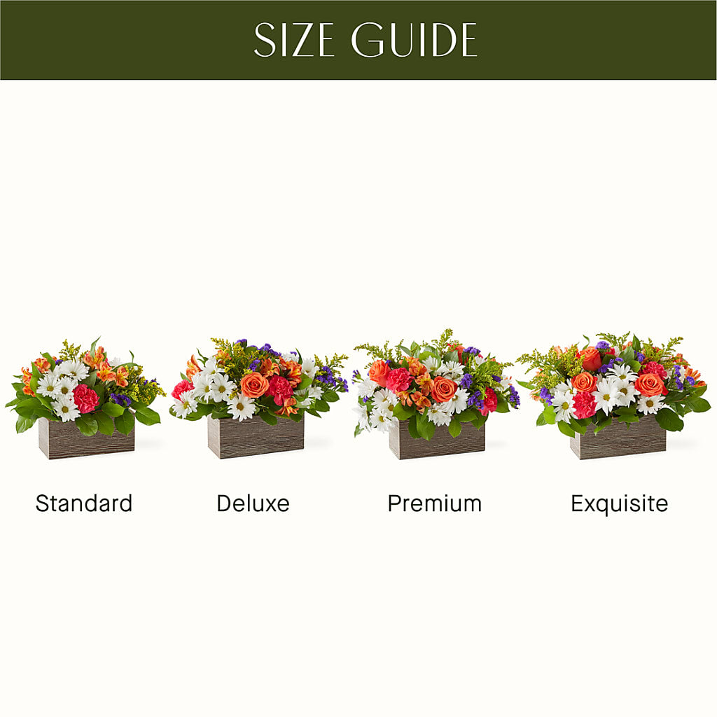 Oopsie Daisy Box Bouquet – EMERY'S FLOWERS & CO, Maumee OH