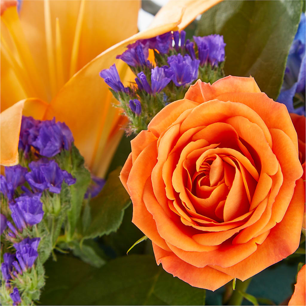 Radiant Citrus Box Bouquet – EMERY'S FLOWERS & CO, Maumee OH
