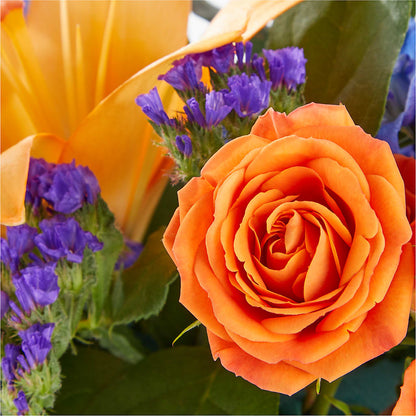 Radiant Citrus Box Bouquet – EMERY'S FLOWERS & CO, Maumee OH