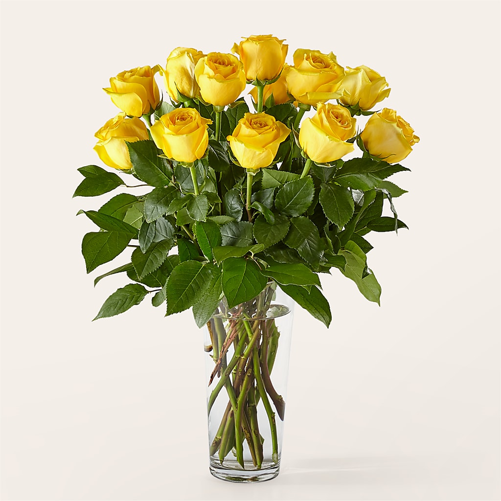 Long Stem Yellow Rose Bouquet – EMERY'S FLOWERS & CO, Maumee OH