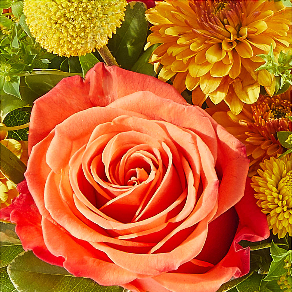 Gourdgeous Pumpkin – EMERY'S FLOWERS & CO, Maumee OH