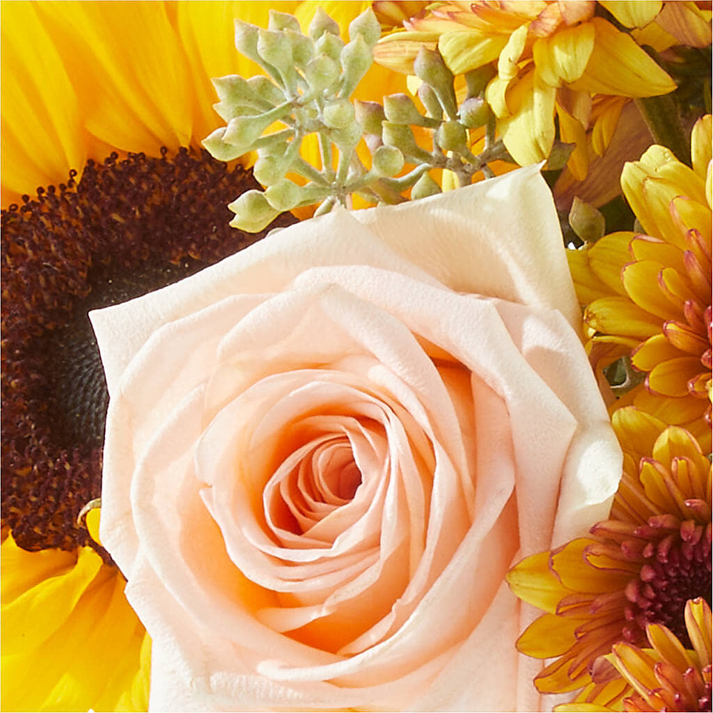 Pumpkin to Talk About Bouquet – EMERY'S FLOWERS & CO, Maumee OH