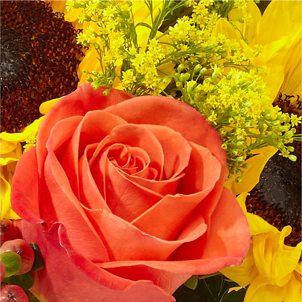 Pick of the Patch Pumpkin Bouquet – EMERY'S FLOWERS & CO, Maumee OH