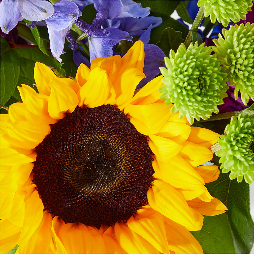 Catching Rays Bouquet – EMERY'S FLOWERS & CO, Maumee OH