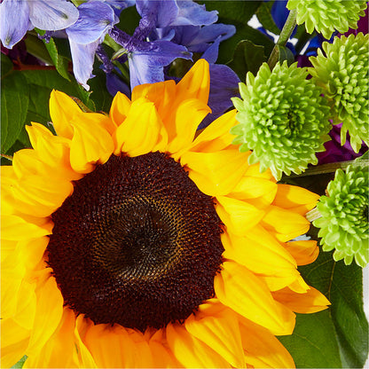 Catching Rays Bouquet – EMERY'S FLOWERS & CO, Maumee OH