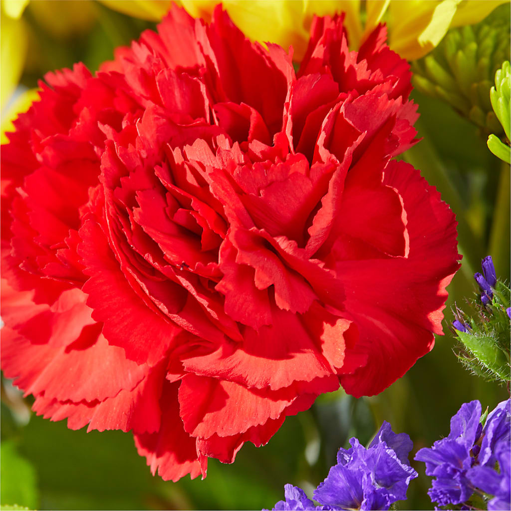 Brighter Days Bouquet – EMERY'S FLOWERS & CO, Maumee OH