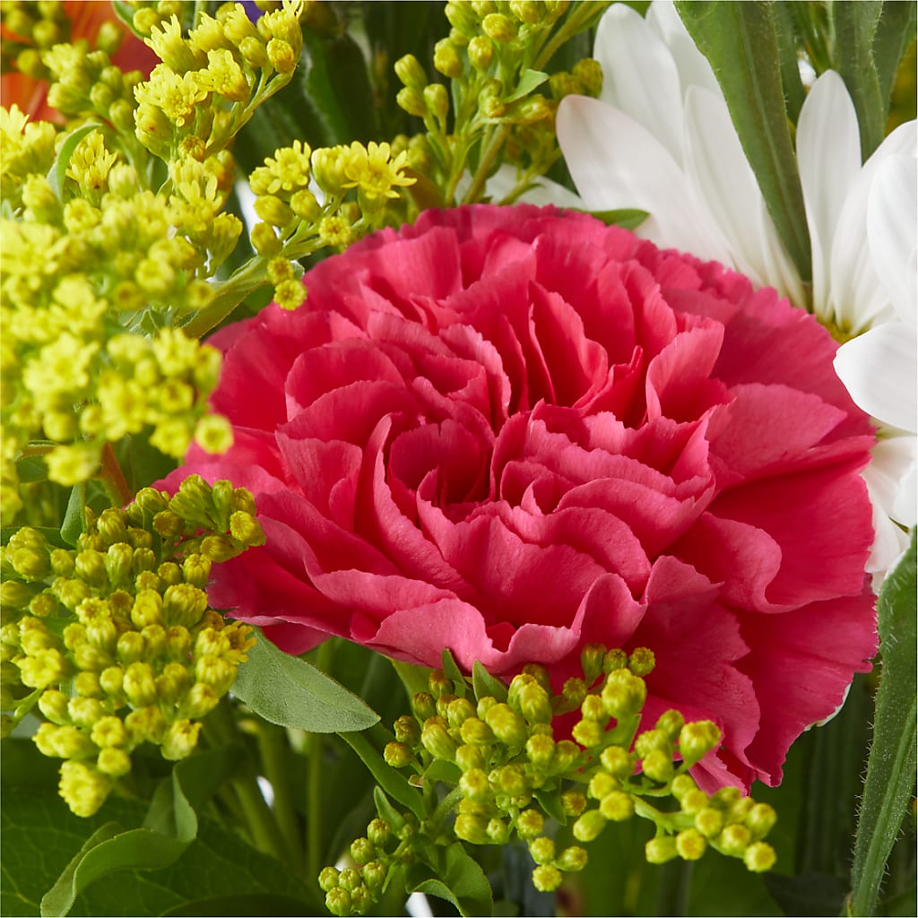 Oopsie Daisy Bouquet – EMERY'S FLOWERS & CO, Maumee OH