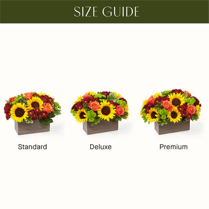 Happy Harvest Garden – EMERY'S FLOWERS & CO, Maumee OH