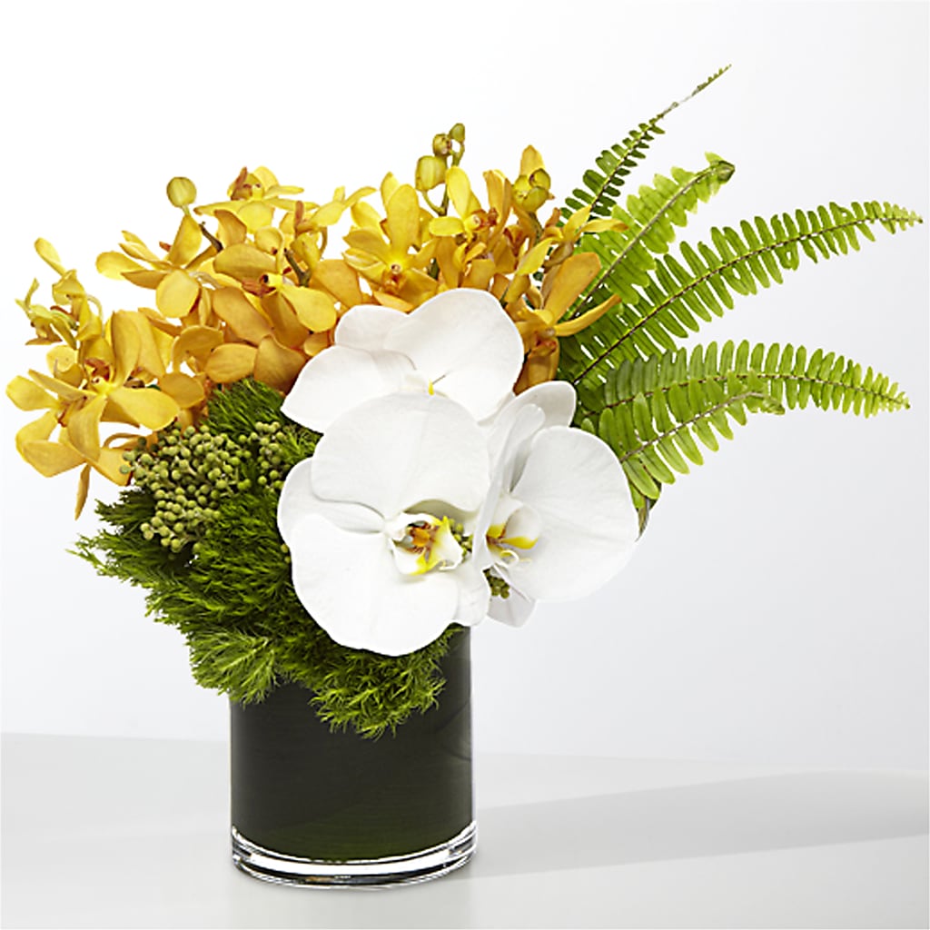 The Tropics – EMERY'S FLOWERS & CO, Maumee OH