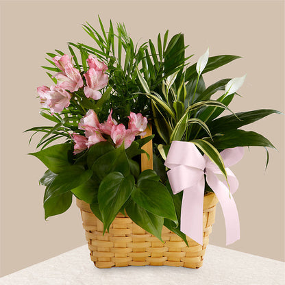 Living Spirit Dishgarden – EMERY'S FLOWERS & CO, Maumee OH