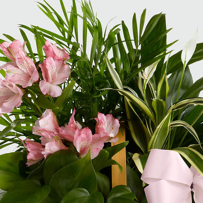 Living Spirit Dishgarden – EMERY'S FLOWERS & CO, Maumee OH
