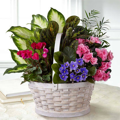 Peaceful Garden Planter – EMERY'S FLOWERS & CO, Maumee OH