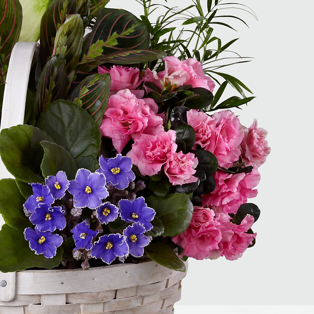 Peaceful Garden Planter – EMERY'S FLOWERS & CO, Maumee OH
