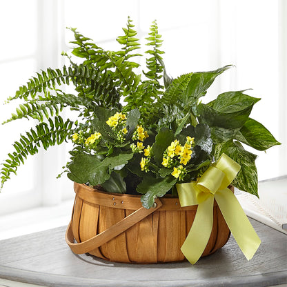 Always Dear Dishgarden – EMERY'S FLOWERS & CO, Maumee OH