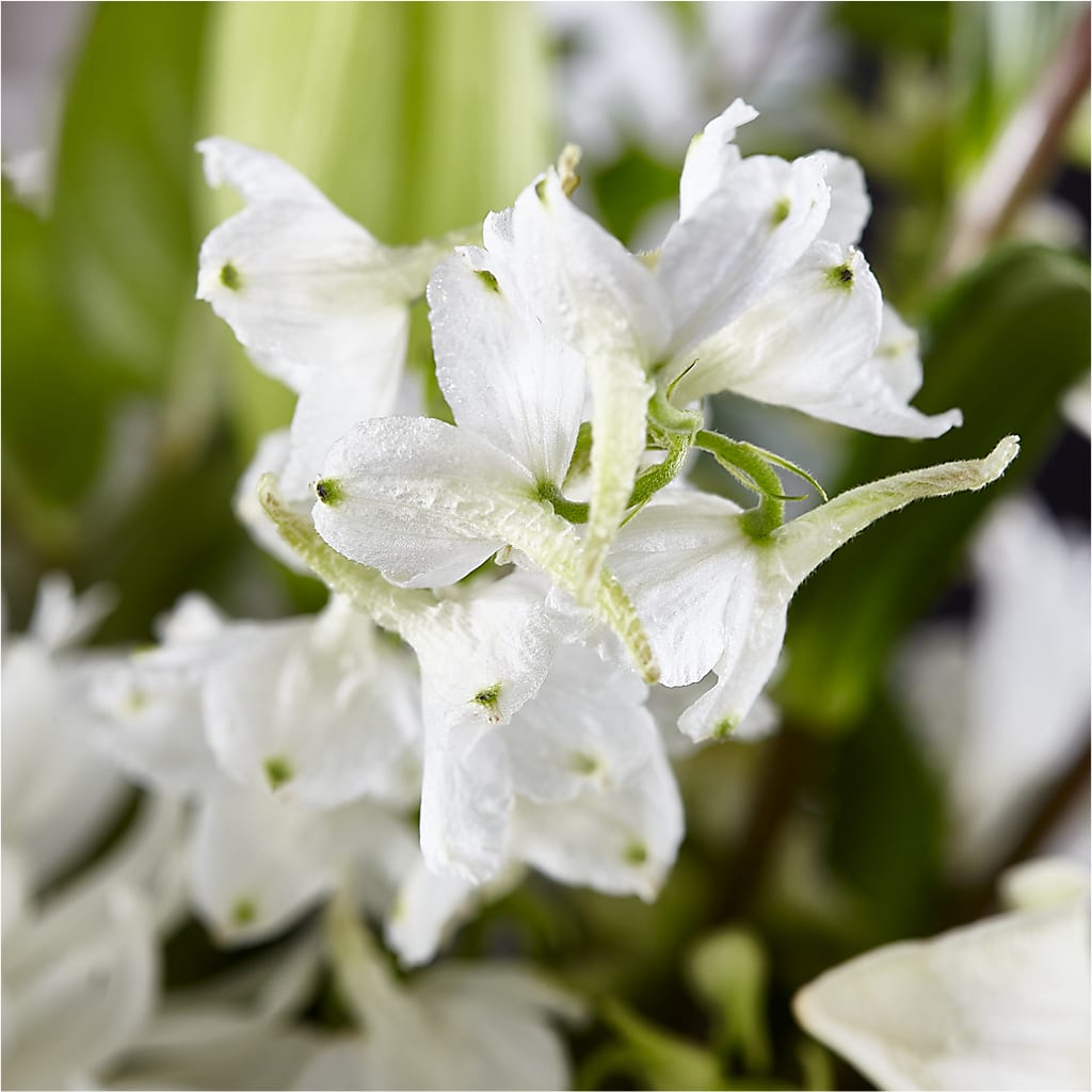 Classic Ivory – A Florist Original – EMERY'S FLOWERS & CO, Maumee OH