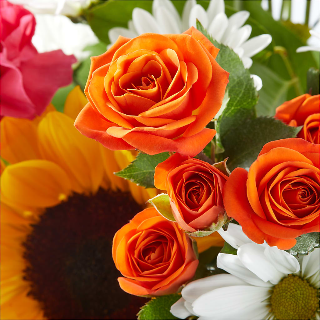 Sun-drenched Blooms Bouquet – EMERY'S FLOWERS & CO, Maumee OH