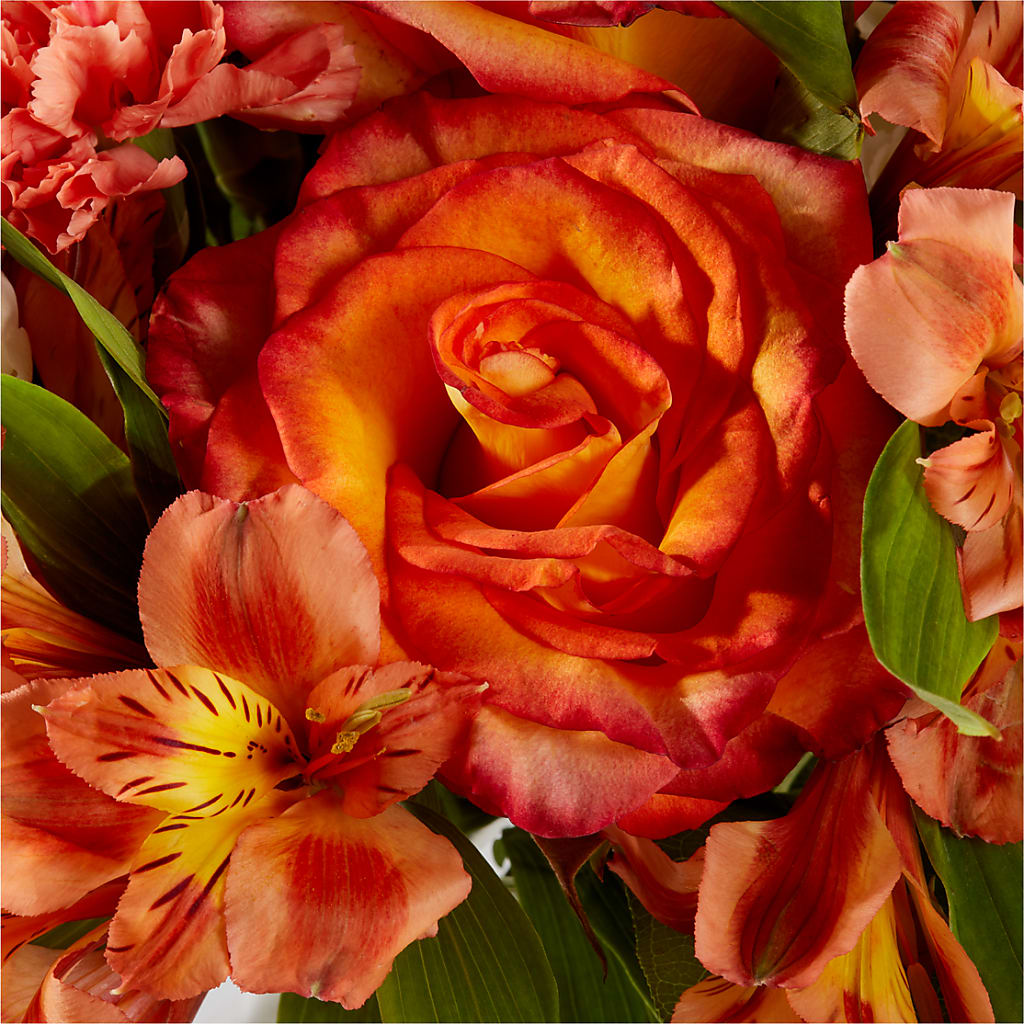 Apricot Glow Bouquet – EMERY'S FLOWERS & CO, Maumee OH