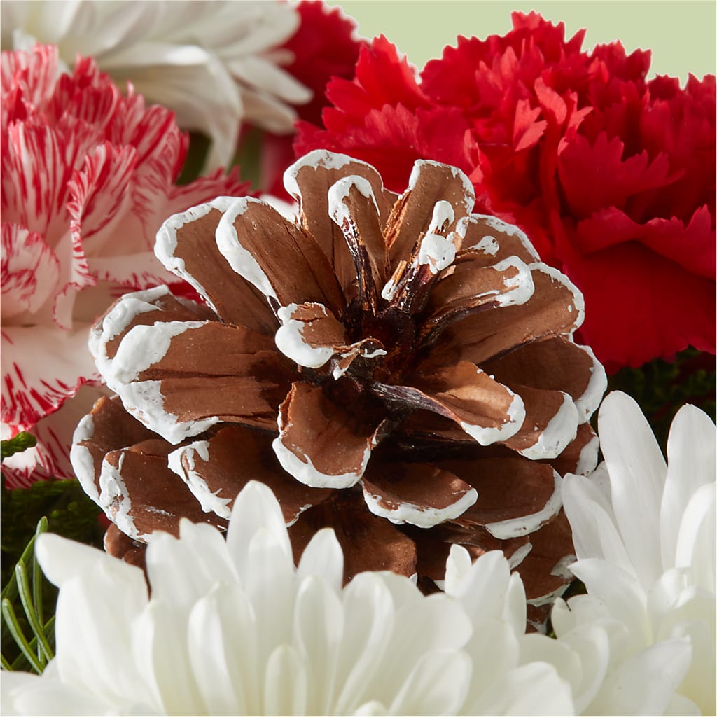 Candy Cane Lane Bouquet – EMERY'S FLOWERS & CO, Maumee OH