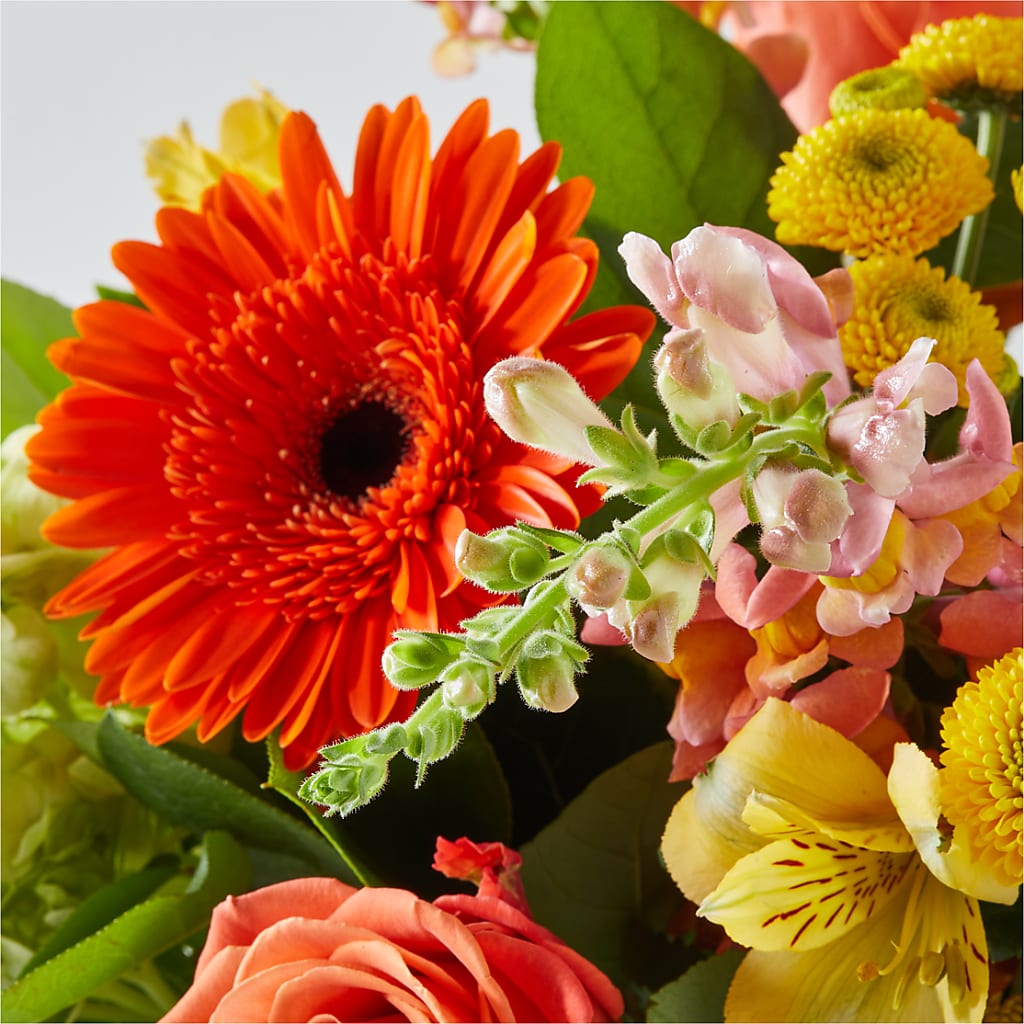 Autumn Sunshine Bouquet – EMERY'S FLOWERS & CO, Maumee OH