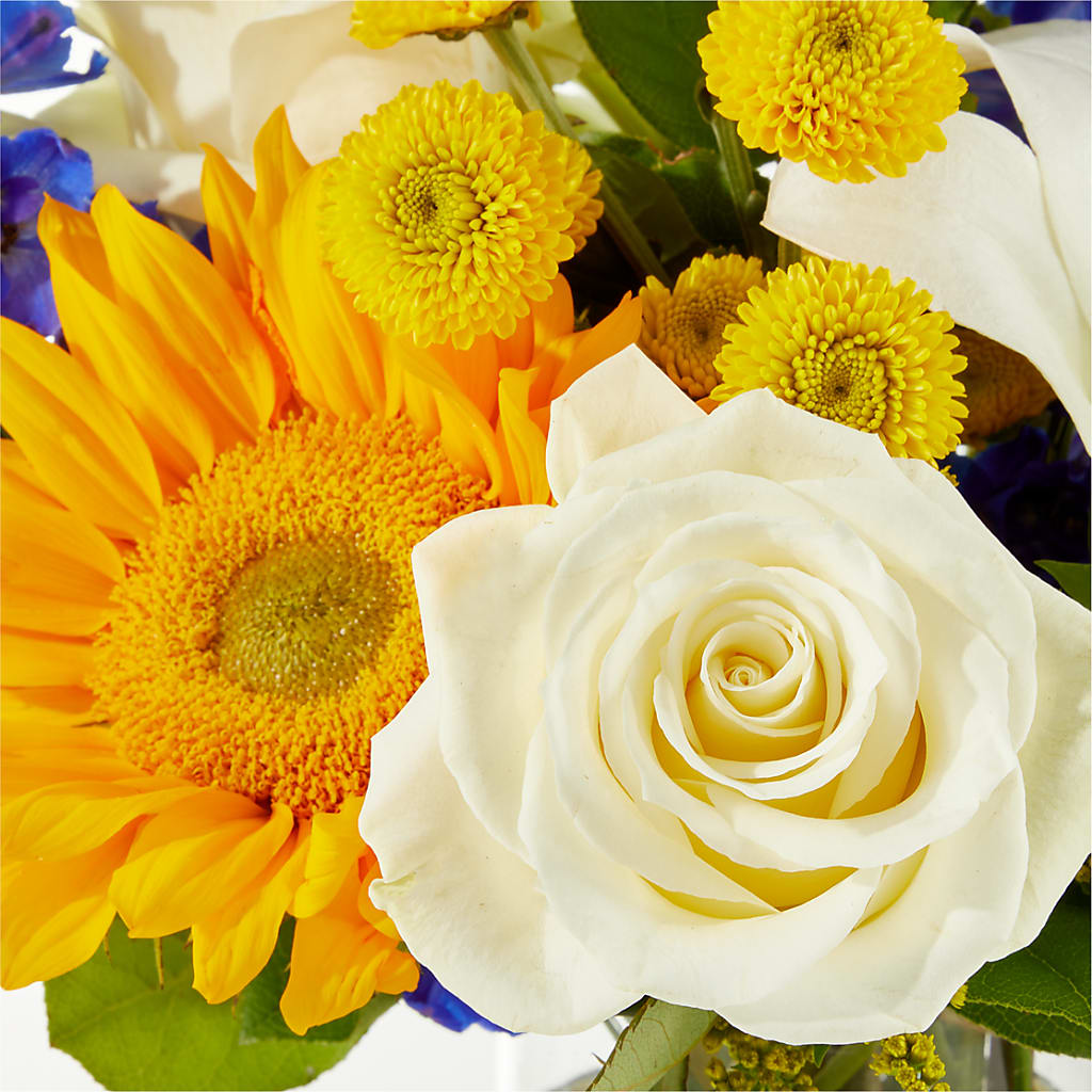 Stargazing Bouquet – EMERY'S FLOWERS & CO, Maumee OH