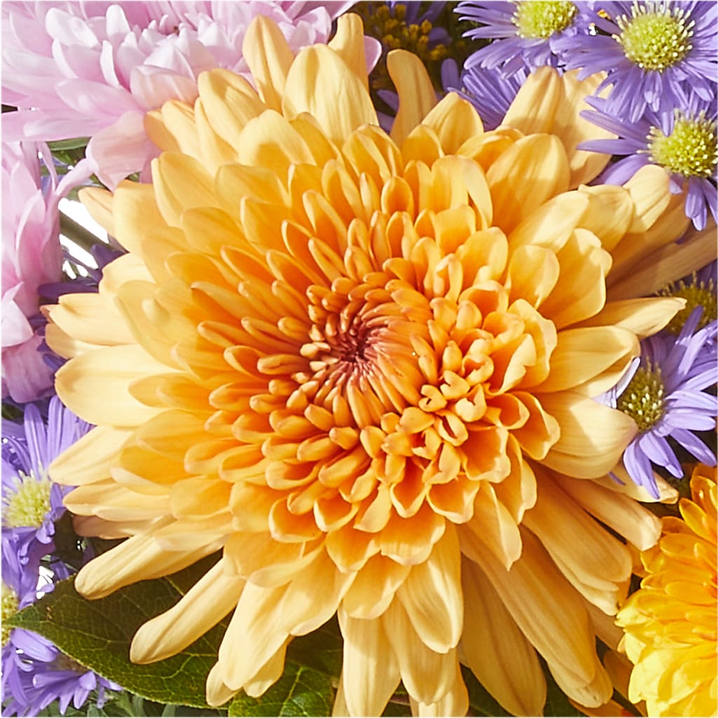 Countryside Bouquet – EMERY'S FLOWERS & CO, Maumee OH
