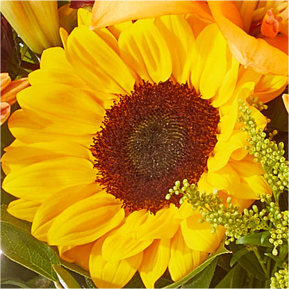 Seasons Change Bouquet – EMERY'S FLOWERS & CO, Maumee OH