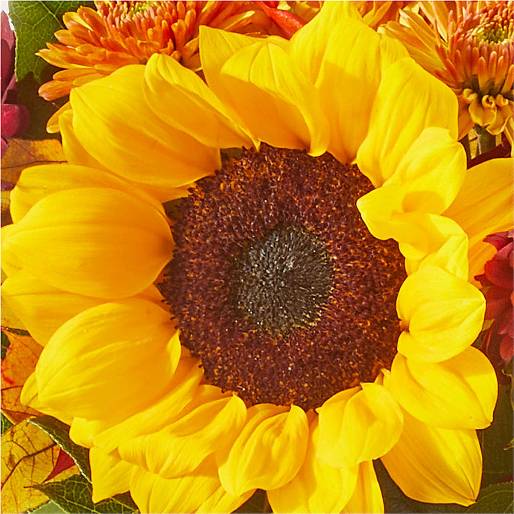 Sunny Side Bouquet – EMERY'S FLOWERS & CO, Maumee OH