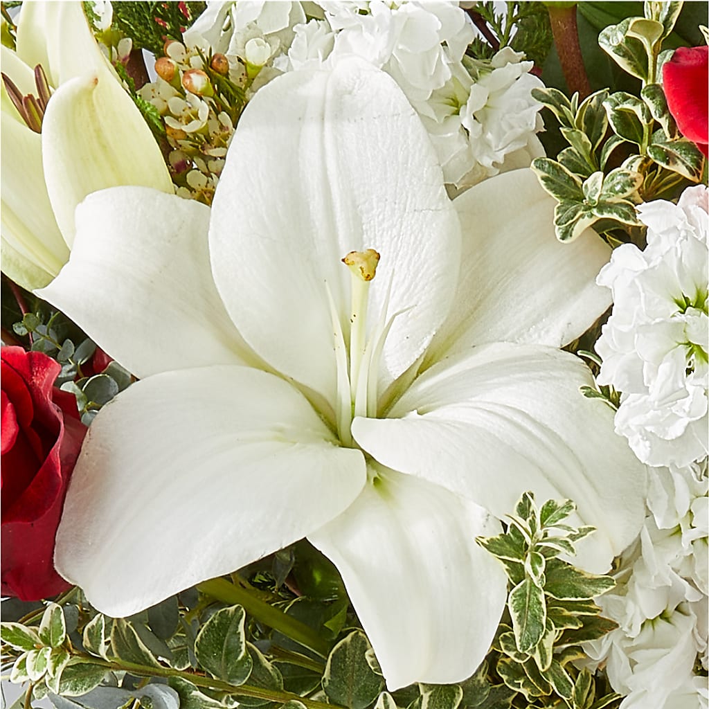 Twinkle Lights Bouquet – EMERY'S FLOWERS & CO, Maumee OH