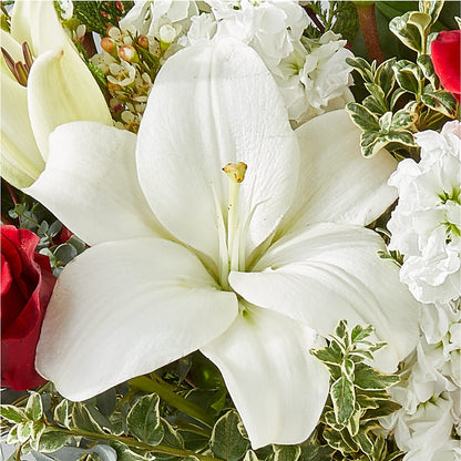 Twinkle Lights Bouquet – EMERY'S FLOWERS & CO, Maumee OH